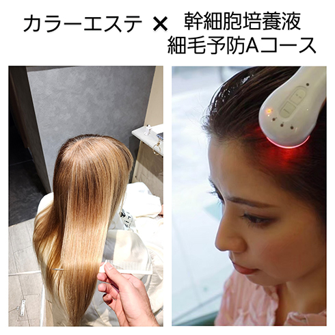 幹細胞カラーエステ soiris