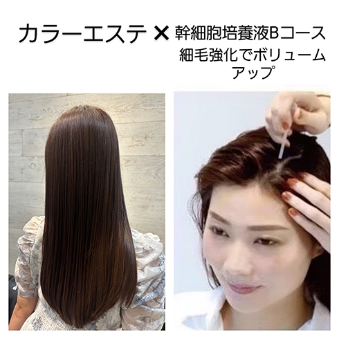 幹細胞カラーエステ soiris