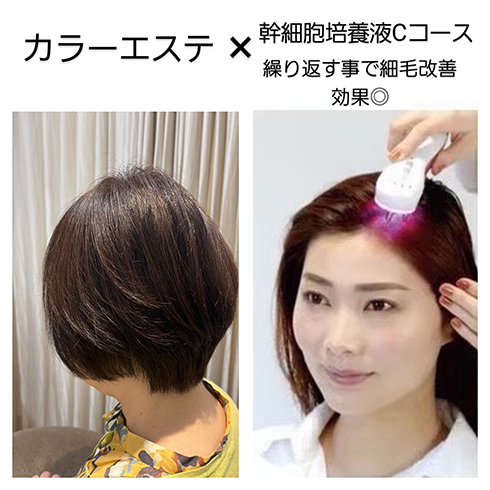 幹細胞カラーエステ soiris
