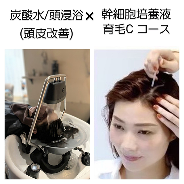 メニュー