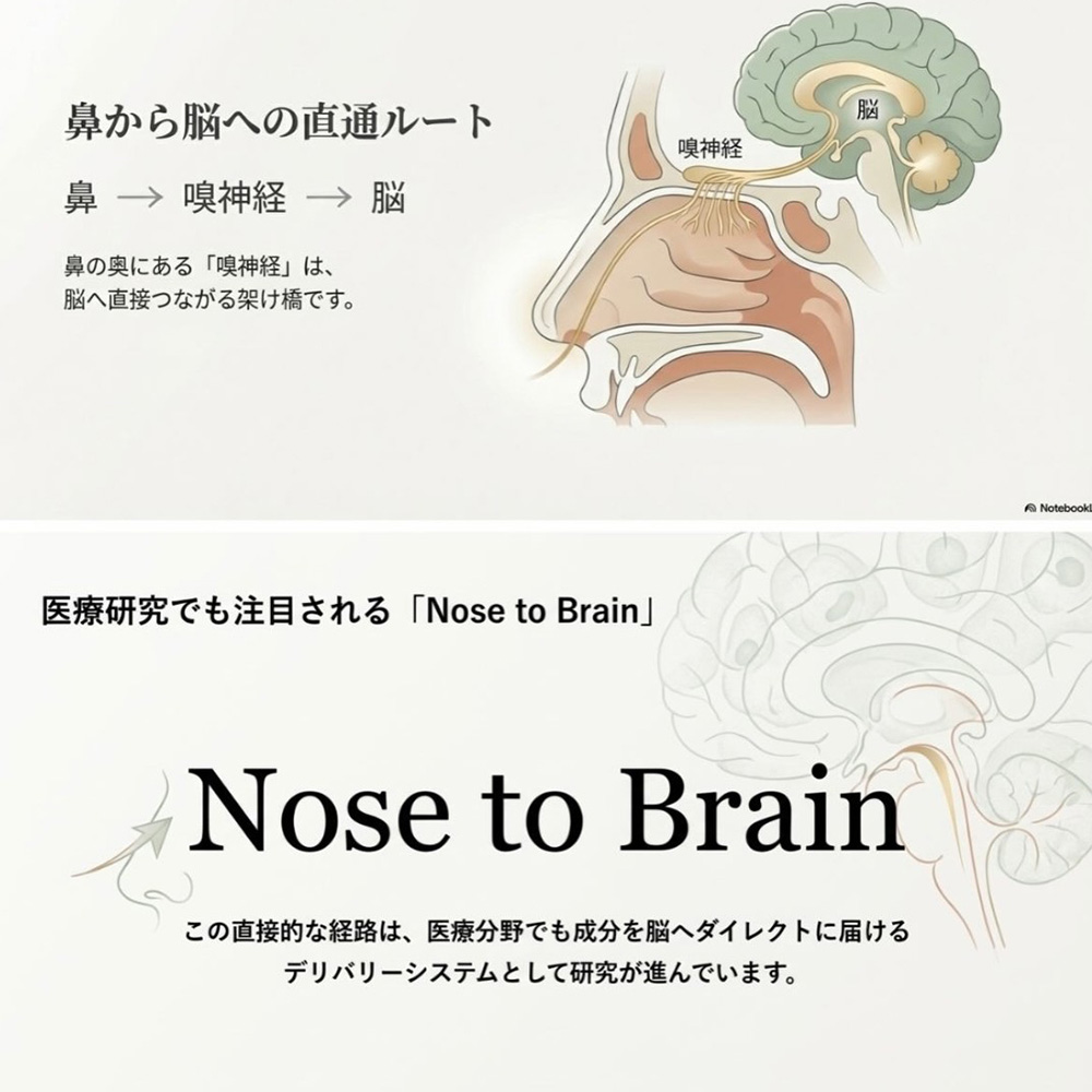 幹細胞培養上清液