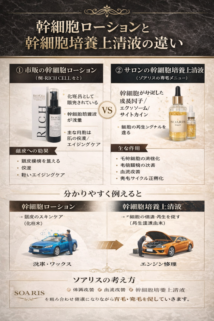 育毛には食事や内側からのケアが効果を高める