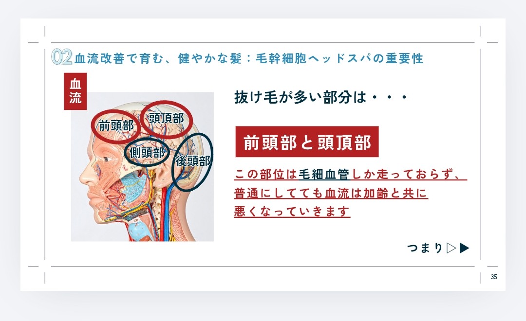  02 血流改善で育む、健やかな髪：毛幹細胞ヘッドスパの重要性、抜け毛が多い部分は・・・前頭部と頭頂部、この部位は毛細血管しか走っておらず、普通にしてても血流は加齢と共に悪くなっていきます