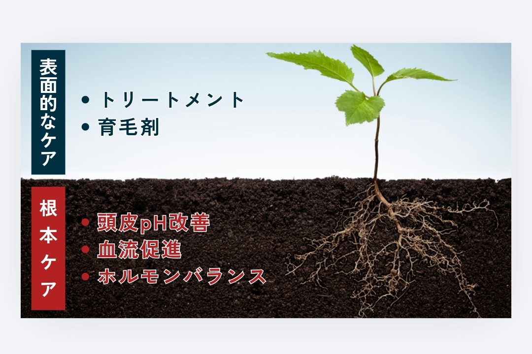  表面的なケア、・トリートメント、・育毛剤、根本ケア、・頭皮pH改善、・血流促進、・ホルモンバランス